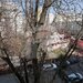 Aleea Moinesti, Sector 6, apartament 3 camere de inchiriat.